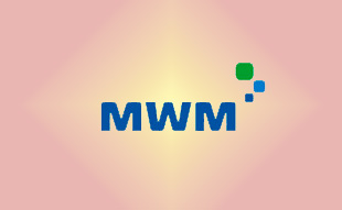 ✓ MWM 12285487 Свеча зажигания 